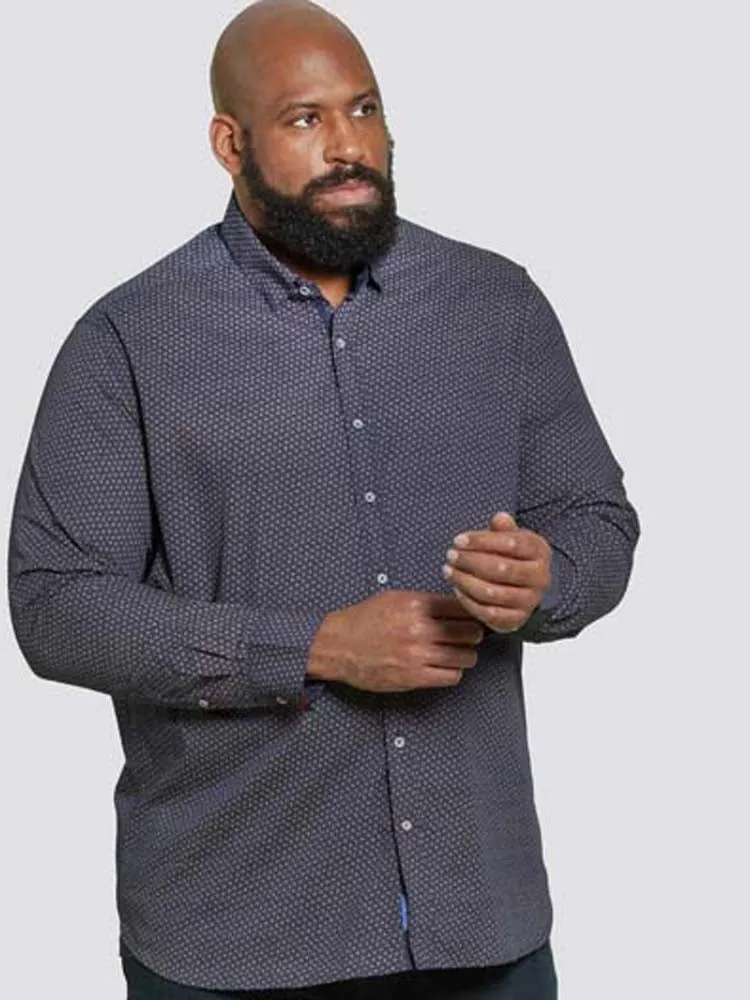 D555 Duke Babworth Button Down Collar Shirt K